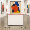 Museo Afzetpaal 90 cm – Geborsteld RVS